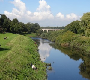 River Wharfe from the Tadcaster Bridge. The church is to the left past the green grass