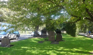 Land opposite the station used to bury some of the 1832 cholera victims