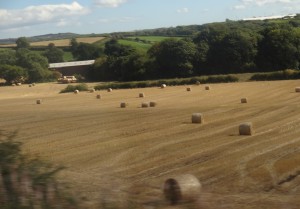 Finally a decent photo of round baled hay