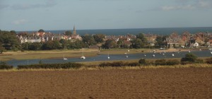 No idea of the location but it's attractive