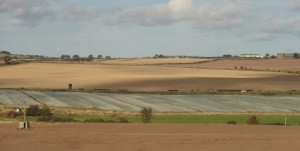 Looks like greenhouses