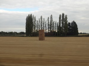 Hay stacked in field, also found as large round bales