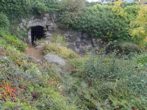 Remains of he friary