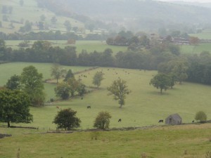 On the way up. No sun that day although it was still early then.