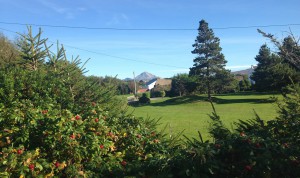 Some green grass and Mt Erigal
