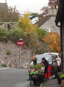 Man and his dog selling flowers their home