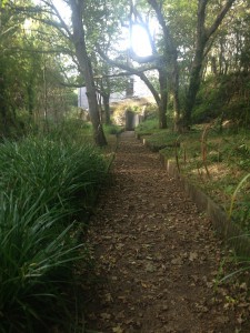 Path behind old church