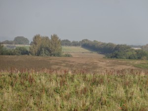 Tiny spots in the distance are the runners stretching their legs