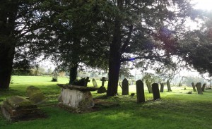 Variety of monument style and direction of movement since installation