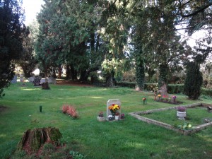 Area with some more recent burials