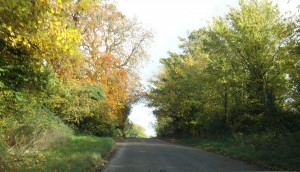 Country road around Elmore