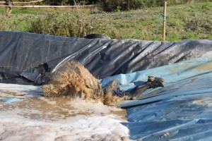 Face full of muddy water